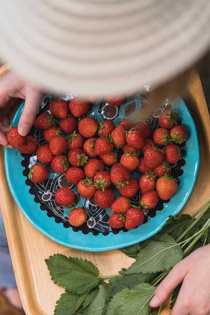 Blauer Rebel-Outdoor-Teller mit Erdbeeren