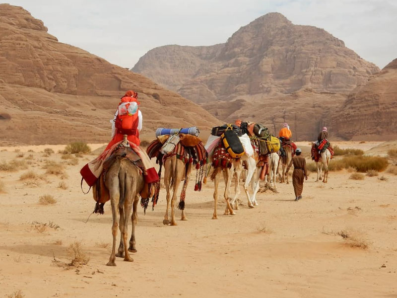 Tamar mit einer Kamel-Tour in Jordanien